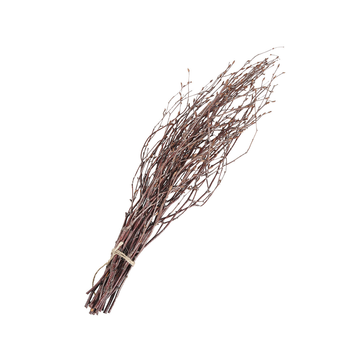 10Pcs 40Cm Birch Branches Real – обзор и цена Centerpiece Stick