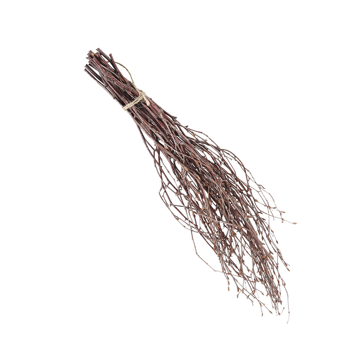 10Pcs 40Cm Birch Branches Real – обзор и цена Centerpiece Stick